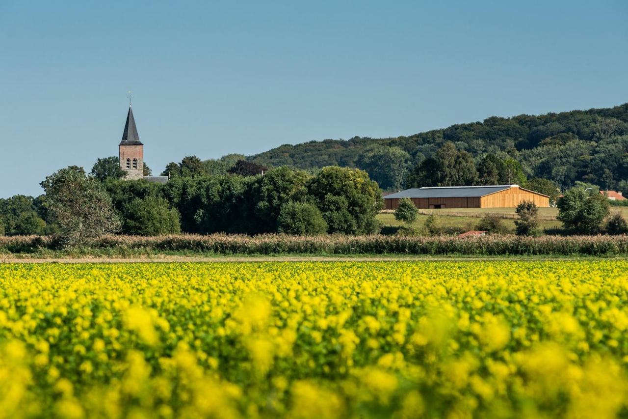 B@B Martinushoeve Oudenaarde Exteriör bild