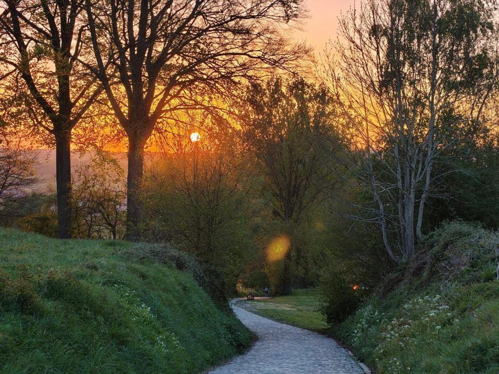 B@B Martinushoeve Oudenaarde Exteriör bild